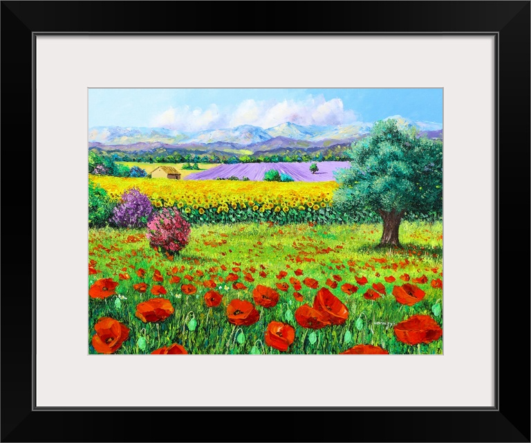 Painting of a rural landscape of flowering fields of bright red poppies.