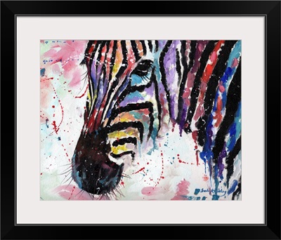 Zebra Multicolor