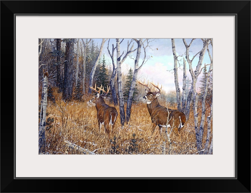 Artwork of two deer in the woods.