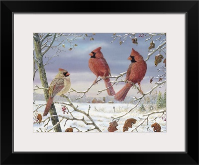 First Snow Cardinals