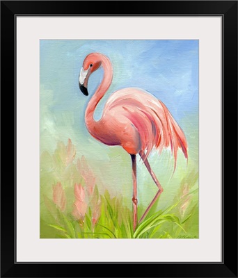 Flamingo Great Pink Heron