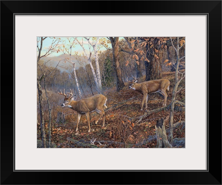 Two deer walking through a forest in the fall.