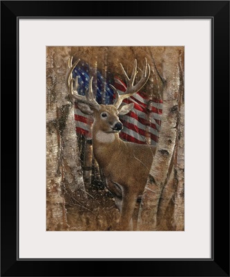 Whitetail Buck America