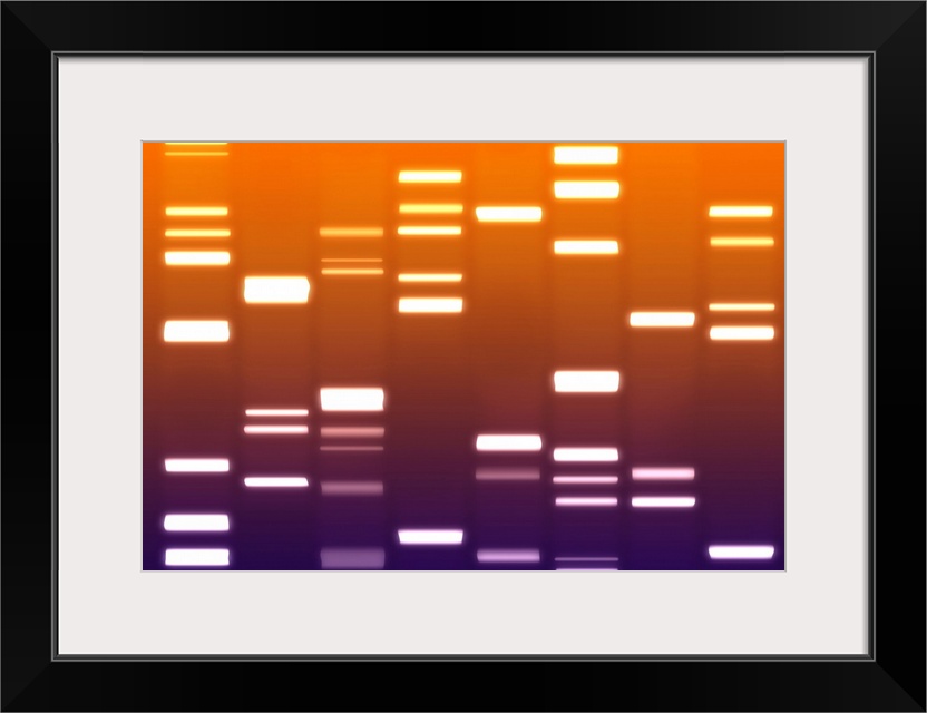DNA canvas and art print. DNA contains the genetic instructions which control how every living organism develops and funct...