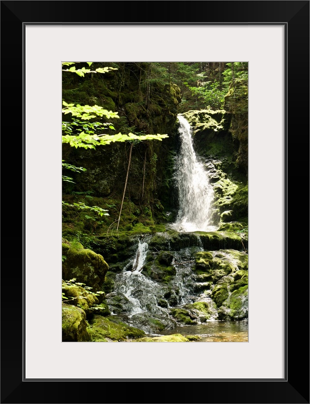 Canada, New Brunswick: Bay of Fundy National Park.