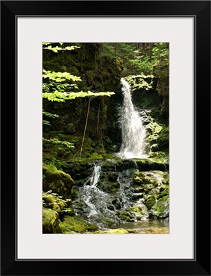 Canada, New Brunswick: Bay Of Fundy National Park