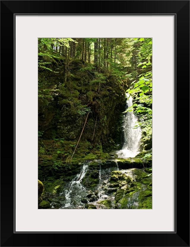 Canada, New Brunswick: Bay of Fundy National Park.