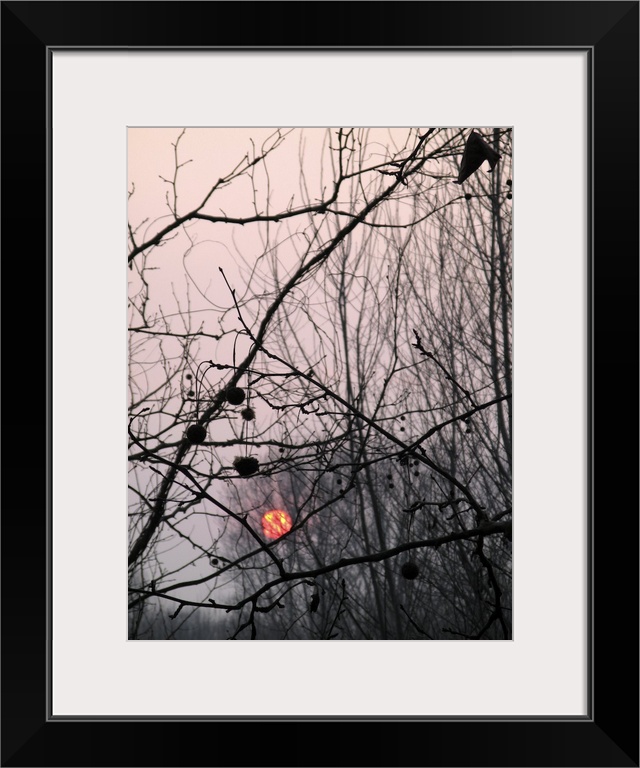 winter time in countryside, Northern Italy