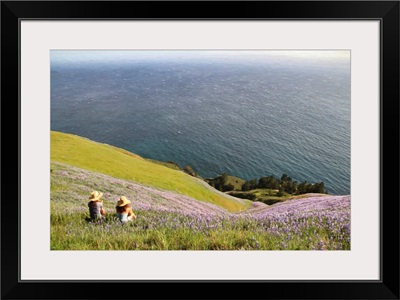 Big Sur Lupine Vista