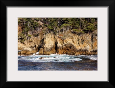 Point Lobos Wall Of Beauty