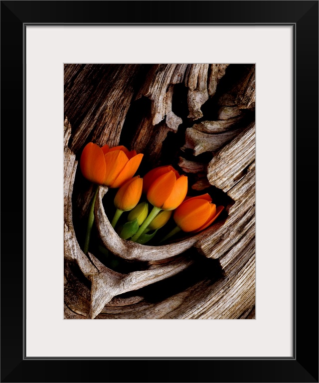 Large photograph focuses on a arrangement of vibrantly colored flowers resting in an open pocket within the base of a tall...