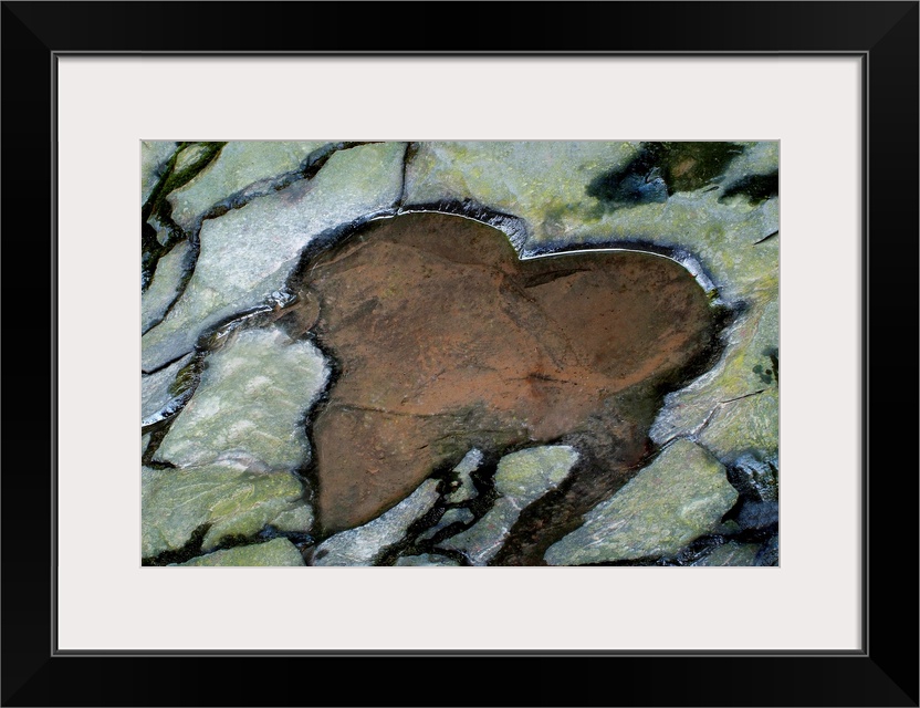 Giant photograph focuses on a path of interlocking stones, one of which is a different color and closely resembles a heart...