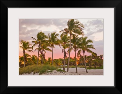A red glowing sky backlights palm trees at sunset on the beach in Key Biscayne