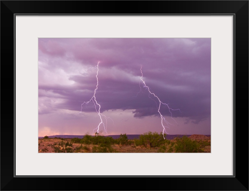 Intense purple lightning bolts strike in the desert of New Mexico.