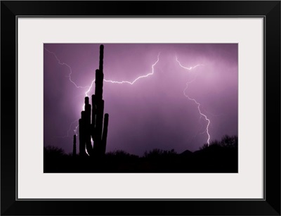 Lightning strikes in the desert during monsoon season in Arizona