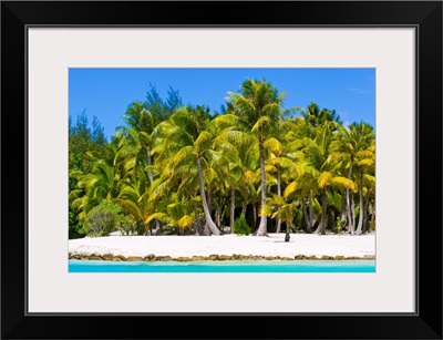 Scenic view of a tropical island beach full of palm trees