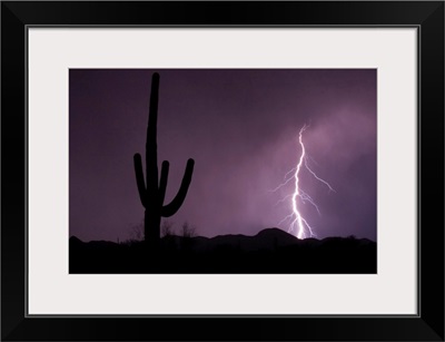 Single lightning bolt strikes in the desert during monsoon season