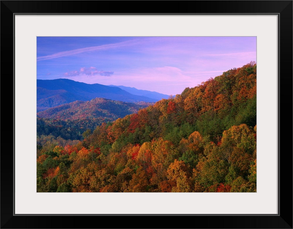 Autumn trees cover the mountain side under a colorful twilight sky in this landscape wall art for the home or office.