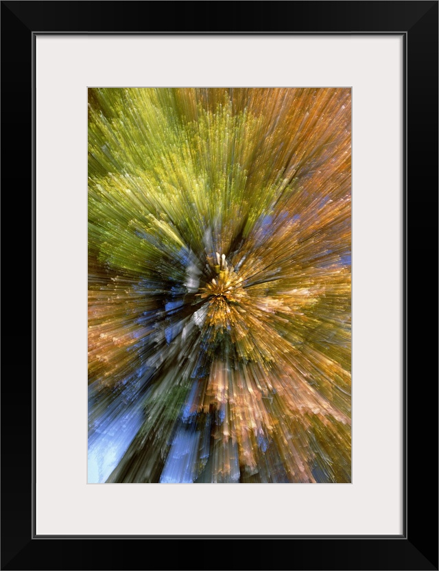 Tall canvas of fall leaves overlaid with lines spreading out from the center in a circular direction.