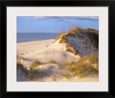 Coastal sand dunes, Saint Joseph Peninsula, Florida