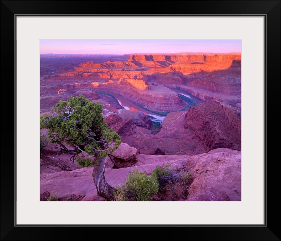 Colorado River flowing through canyons of Dead Horse Point State Park, Utah