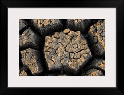 Cracked, dried out mud, Mokolodi Nature Reserve, Botswana