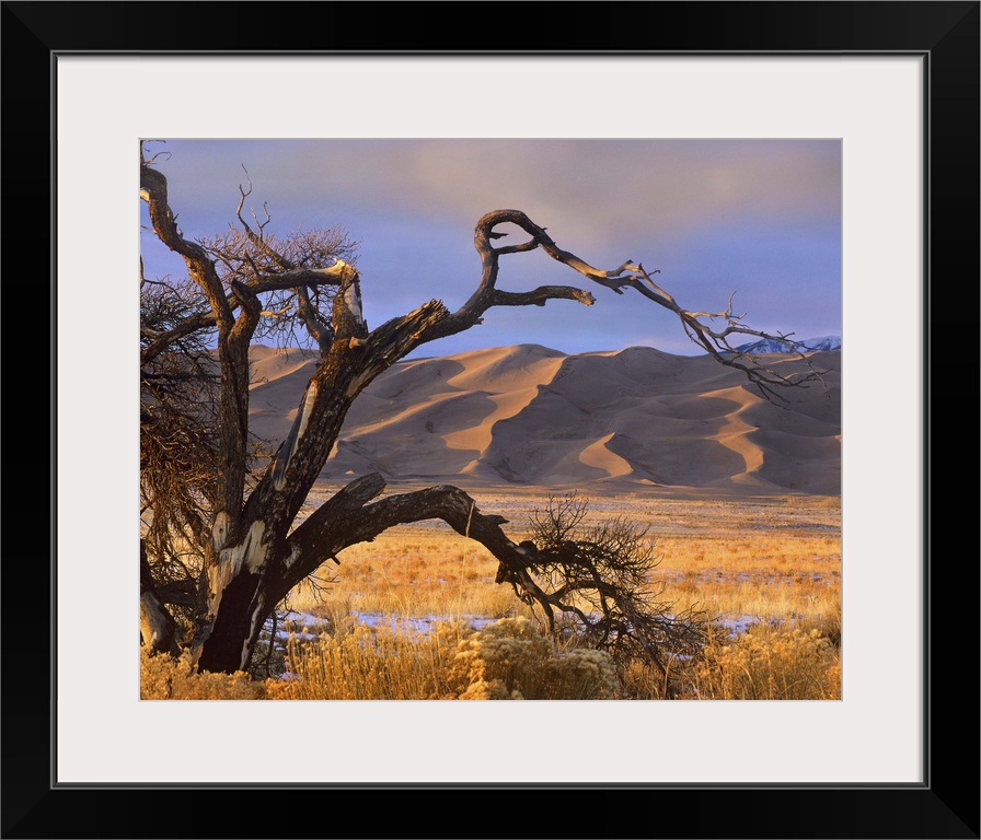 Grasslands and dunes, Great Sand Dunes National Monument, Colorado