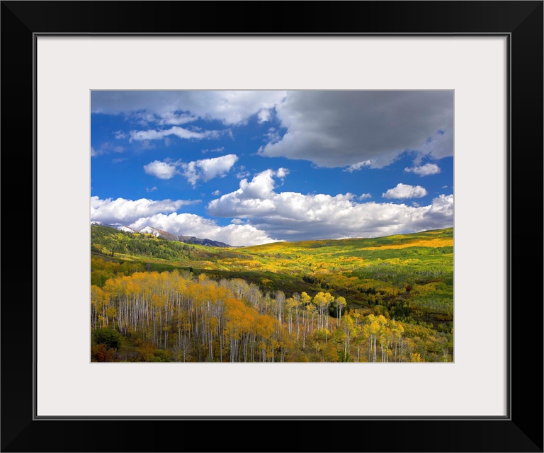 Gunnison National Forest in fall, Colorado