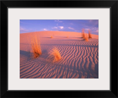 Gypsum dunes, Guadalupe Mountains National Park, Texas