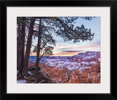 Hoodoos In Winter, Bryce Canyon National Park