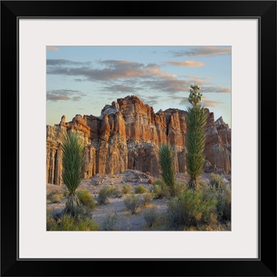 Joshua Tree Saplings And Cliffs, Red Rock Canyon, Nevada