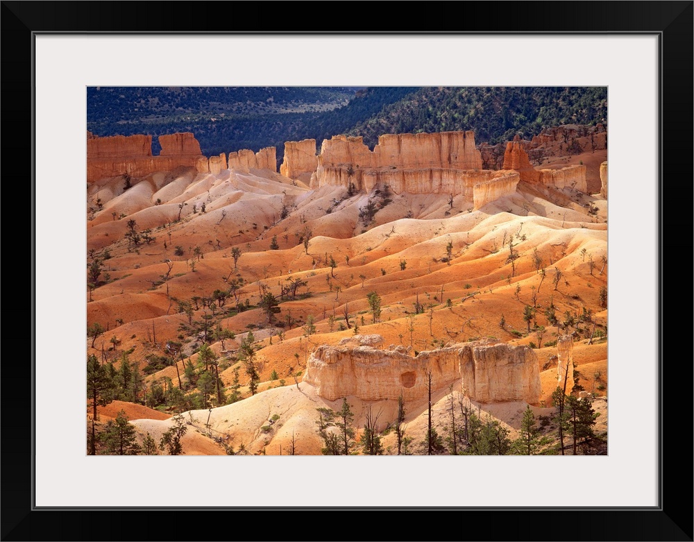 Landscape of eroded formations called hoodoos and fins, Bryce Canyon National Park, Utah