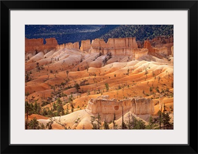 Landscape of eroded formations called hoodoos and fins, Bryce Canyon National Park, Utah