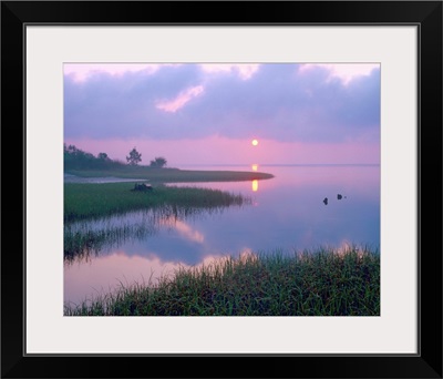 Marsh at sunrise over Eagle Bay, St Joseph Peninsula, Florida