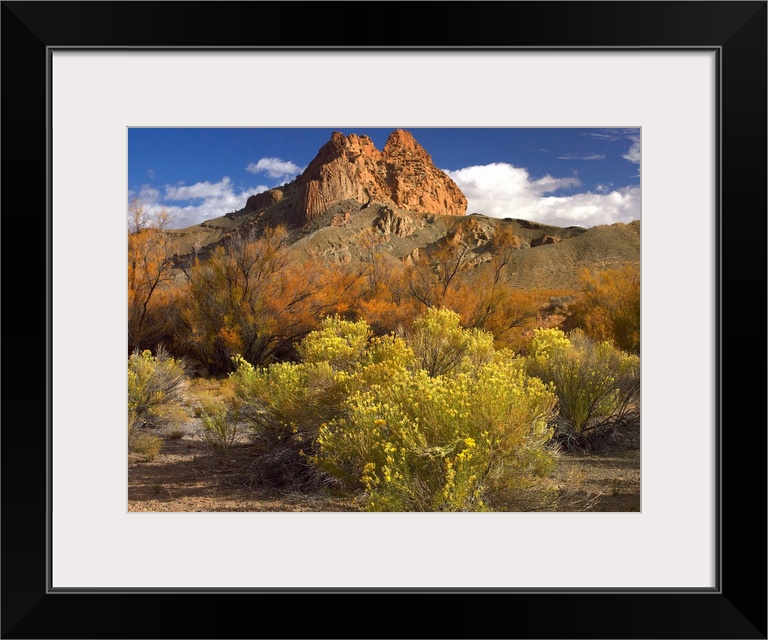 Mitten Rock, New Mexico