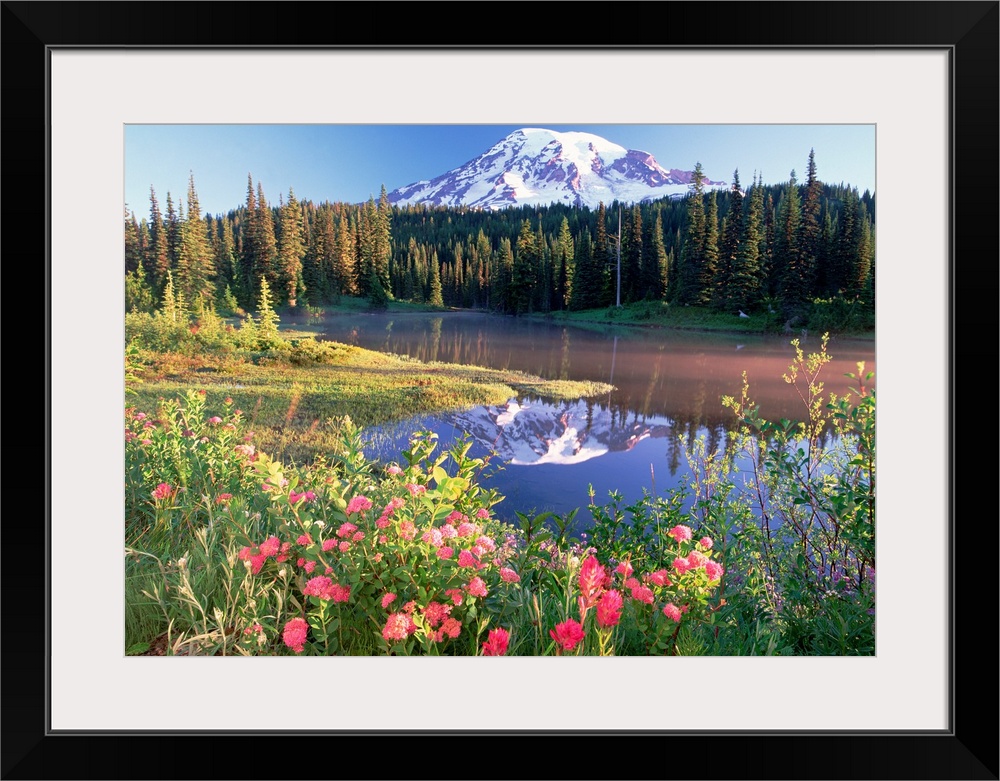 A snow covered mountain is reflected in a lake that is lined with a dense forest with spring flowers in the foreground.