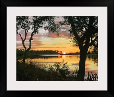 Oaks At Sunrise, Ochlockonee River State Park