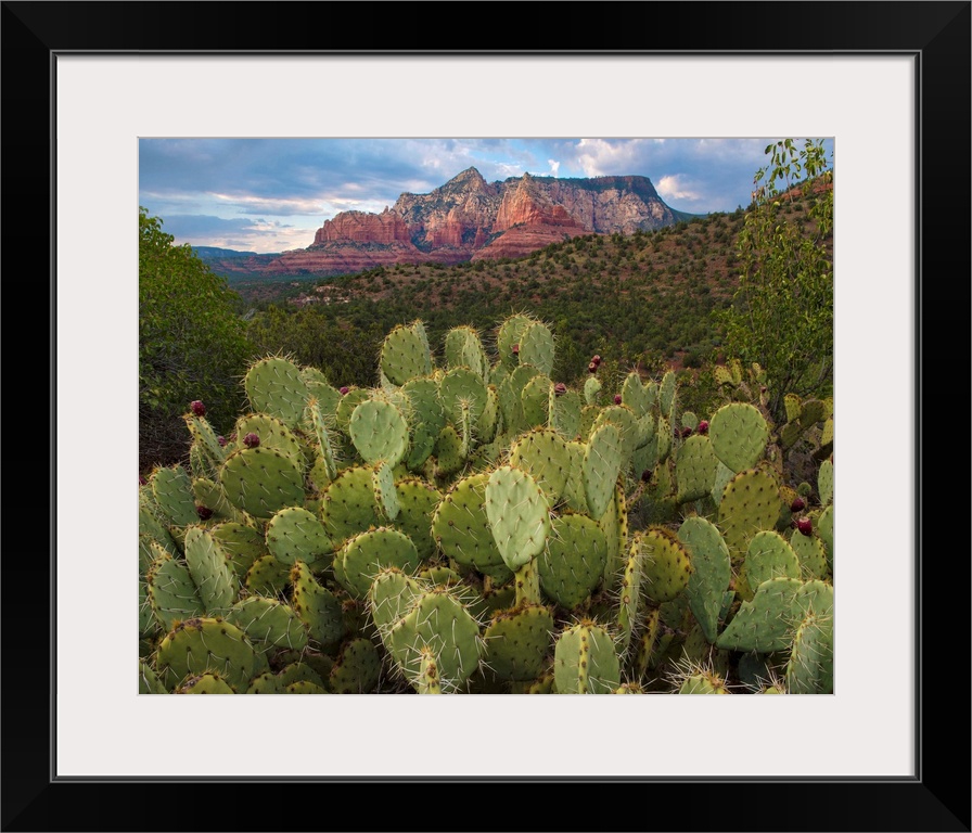 Arizona, USA.