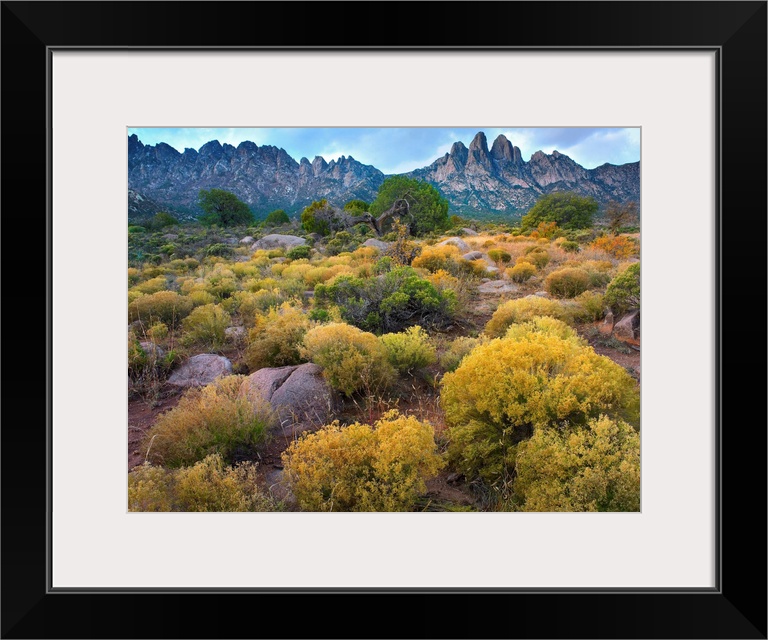 Organ Mountains, Chihuahuan Desert, New Mexico