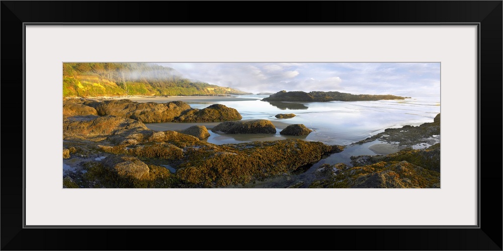 Panoramic photograph on a big wall hanging of an uneven surface along Neptune Beach at low tide, a green hillside in the b...