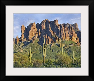 Saguaro cacti and Superstition Mountains, Lost Dutchman State Park, Arizona