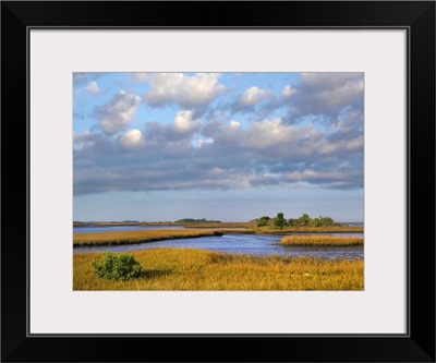 Saltwater marshes at Cedar Key, Florida