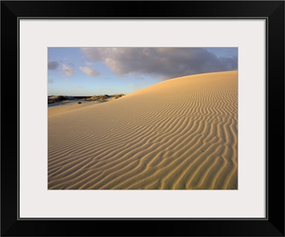 Sand dune, Monahans Sandhills State Park, Texas