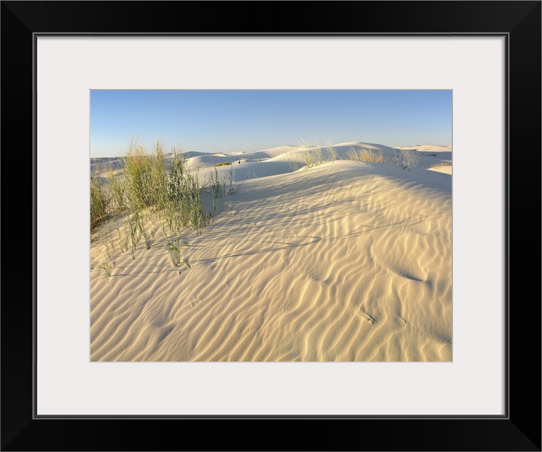 Sand dunes, Monahans Sandhills State Park, Texas