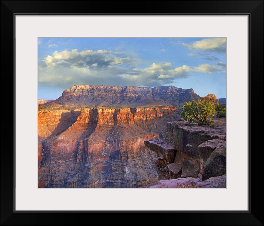 Sandstone cliffs and canyon seen from Toroweap Overlook, Grand Canyon National Park, Arizona