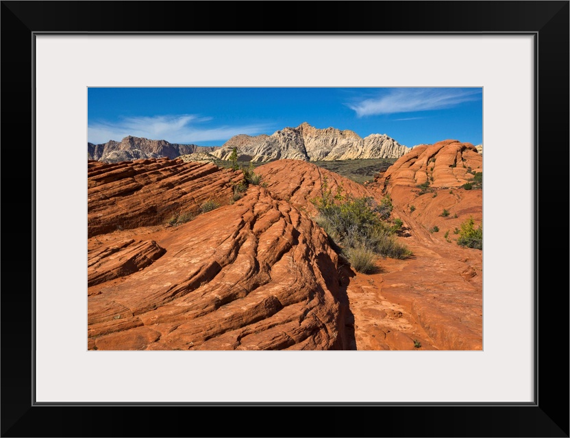 Sandstone Formations Snow Canyon State Park Utah