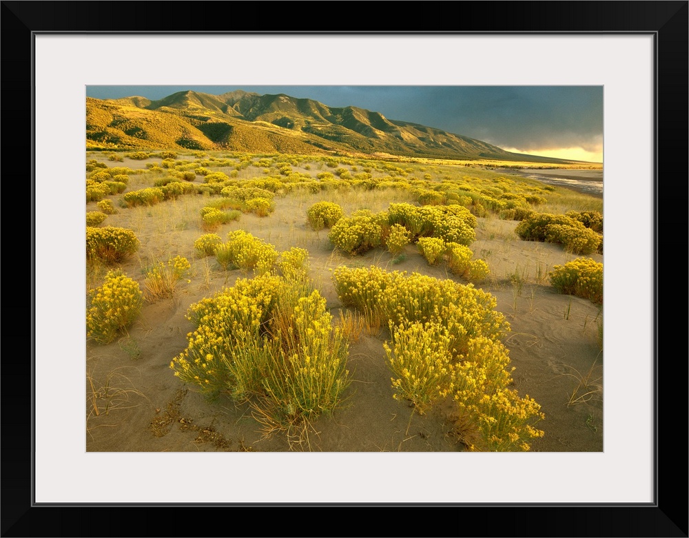 Sangre de Cristo Mountains at Great Sand Dunes National Monument, Colorado