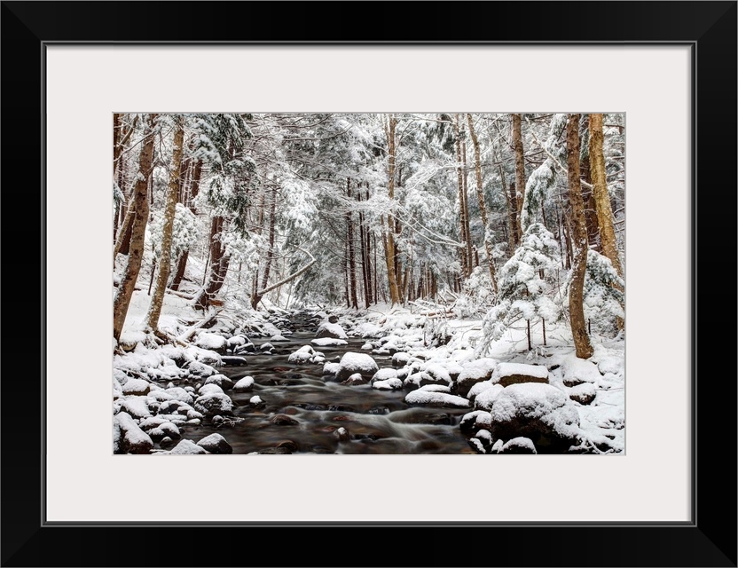 Flowing creek surrounded by several round stones in a forest of thin evergreen trees, covered in fresh snow.