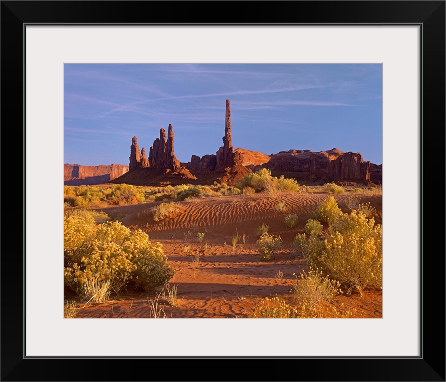 Totem Pole and Yei Bi Chei with sand dunes and shrubs, Monument Valley, Arizona