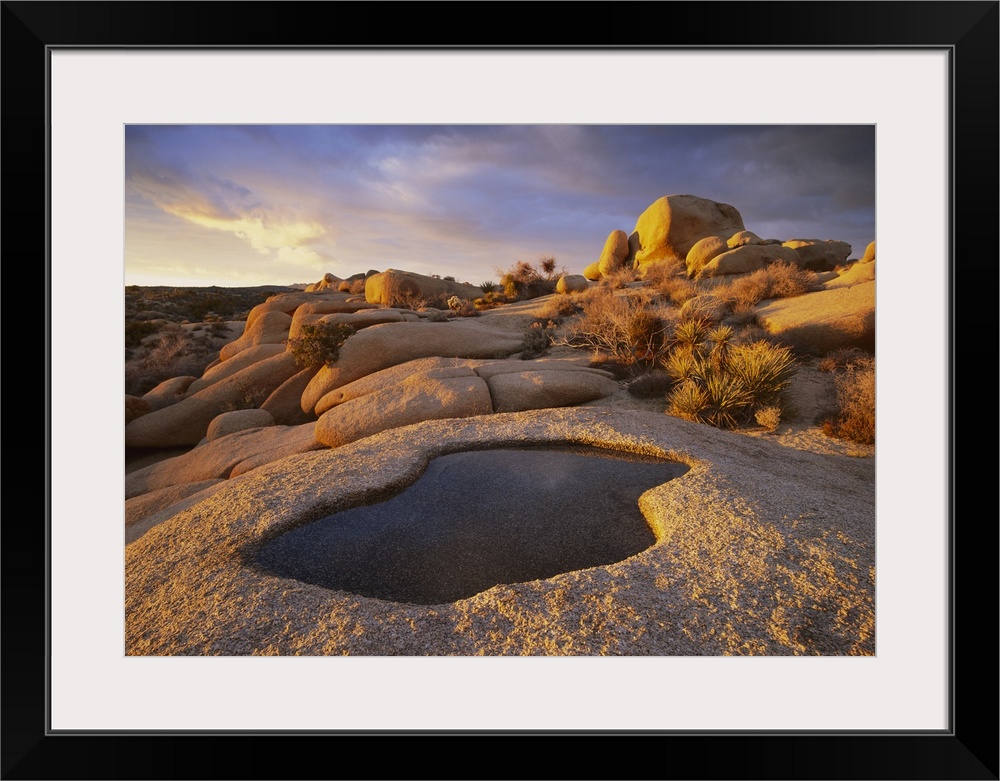 Water that has collected in a boulder, Joshua Tree National Park, California